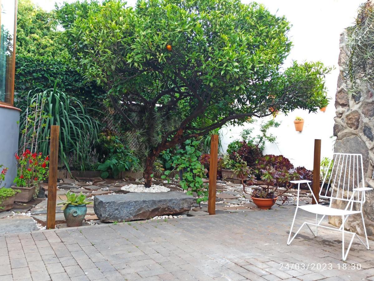 Casa Magali Villa Tacoronte Kültér fotó